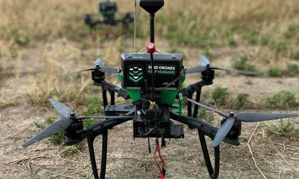 Swarmer наростив збитки до $7,3 млн, але збільшив виручку