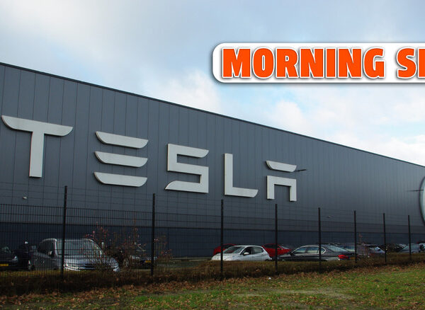 Нідерландські регулятори приховують дані про автопілот Tesla на прохання компанії