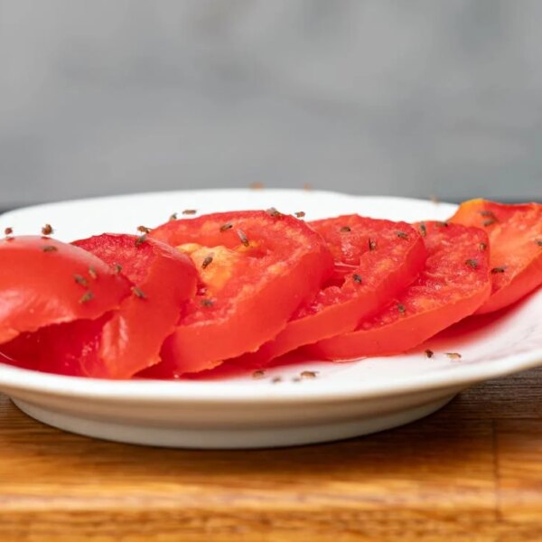 Кухонні мушки: ентомолог розкрив головні причини їх появи