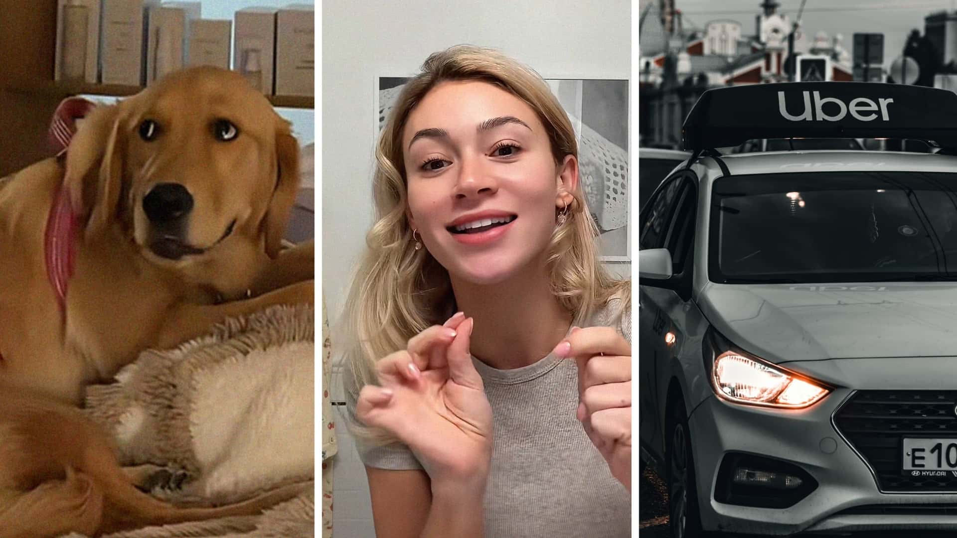 Пасажирка замовила Uber Pet, але водій відмовив у перевезенні золотистого ретривера 1