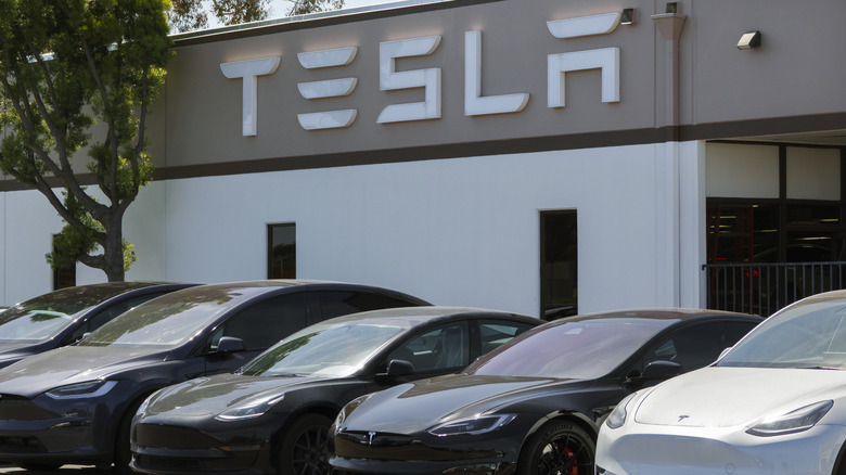 Tesla нарощує частку ринку в США 2