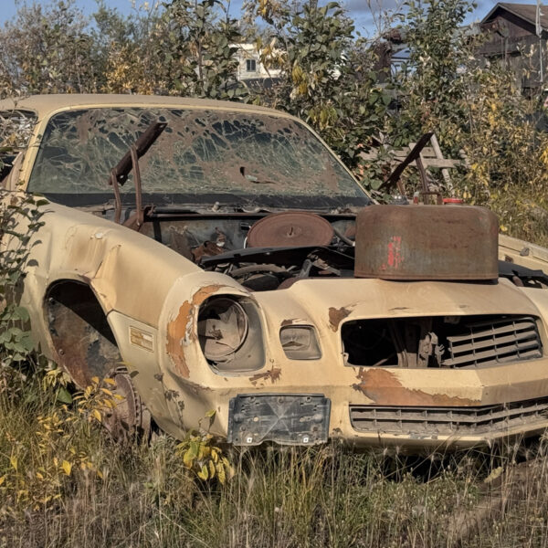 Найкрутіший автомобіль з верхівки світу: знахідка з автозвалища