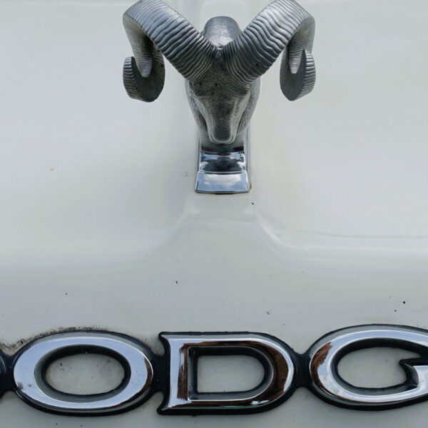 Найкращі Dodge: ваш вибір